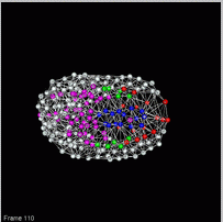 Video animation of developing embroy (C. elegans)